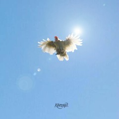 Kura (der Traum vom Fliegen)