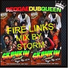 FIRE LINKS FAMILY REGGAE SKANKIN MIX 2017 - 2018 MIXED BY STORM (1)