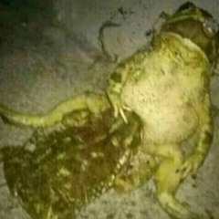 sort of dnb but some shitty dubstep too