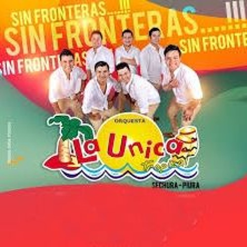 Stream La Unica Tropical 2018 (Album Sin Fronteras) - DJ Carlos martineZ by  Dj Carlos Martinez | Listen online for free on SoundCloud