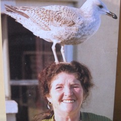 The Bird Lady of Bray - The True Story of Aunty Ethel And Her Sister Maura