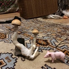 Dreams of the UnderwaterPiglet