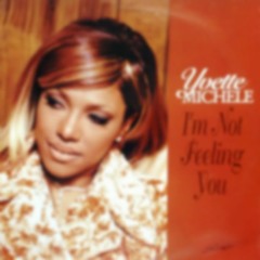 Yvette Michele "I'm Not Feeling You" (1996)