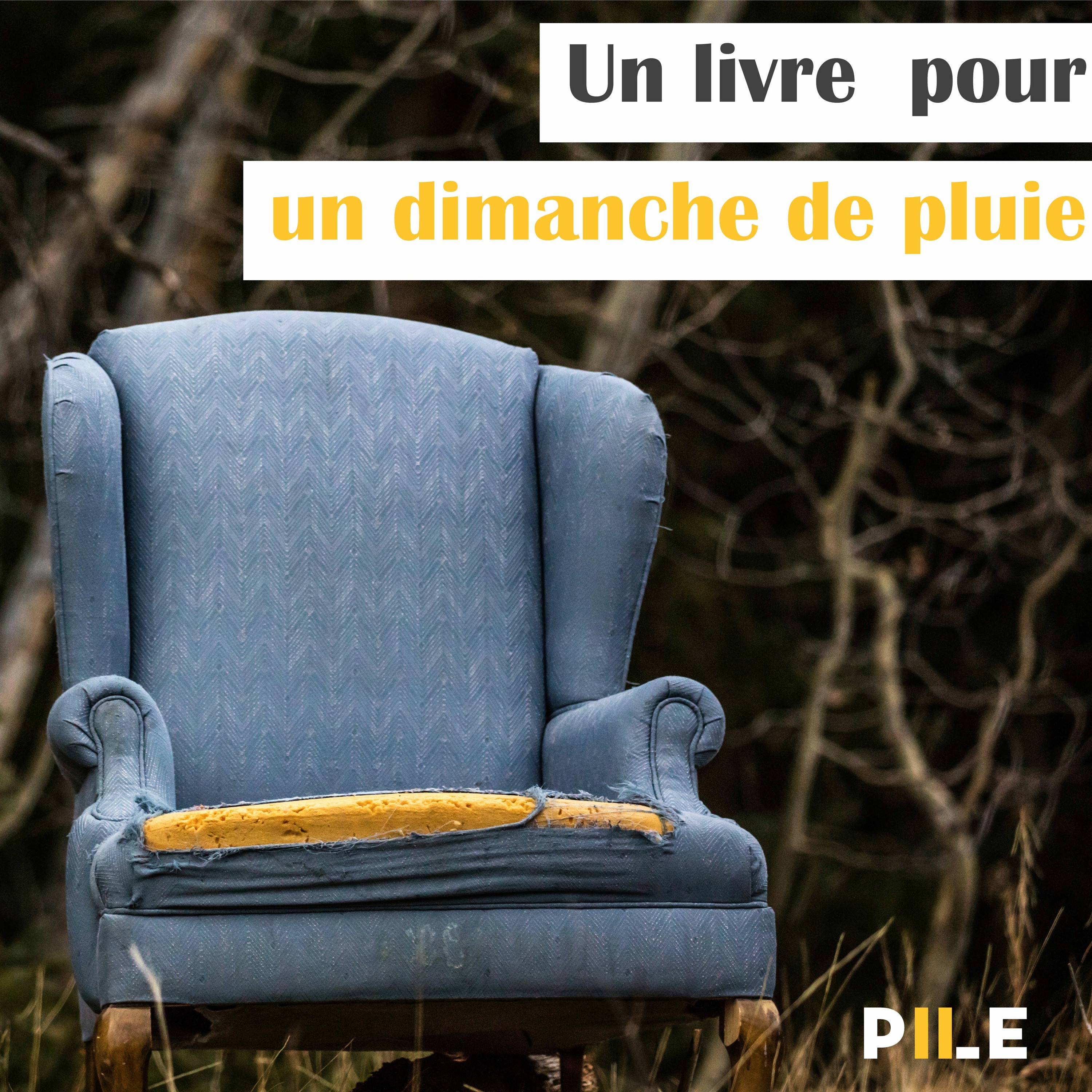 EP 4 - Un livre pour un dimanche de pluie
