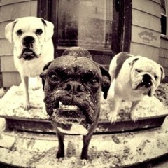 Магнум - Музыка