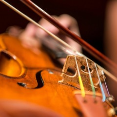 String Quartet No. 13 (Allegro moderato) - FRANZ SCHUBERT