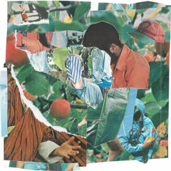 america's most blunted