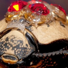 silikon dış iskelet -Jumnos Orta