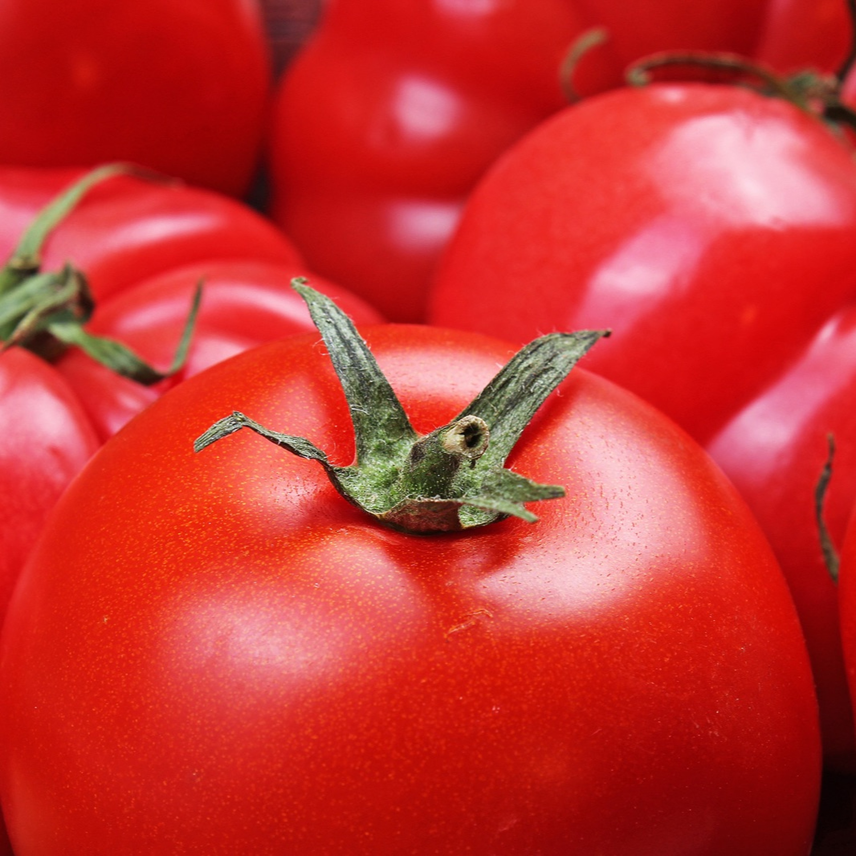 cover of episode Truth About Lectins - Radio Show Archive