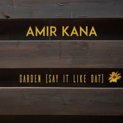 Garden (Say It Like Dat) - SZA (Acoustic Cover by Amir Kana)