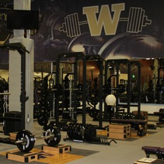 The Workout