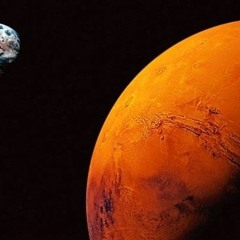 Musk's Martians