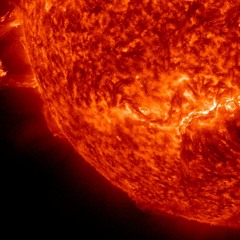 Sun Blessed Laziness