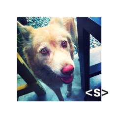 butterfly carnival revisited 2018