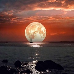 VILELA / - DKG / Vermelho - Coliseu (Prod.8kM8)