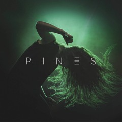 Green Light - Lorde (PINES Remix)