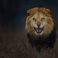 Eat Greedy