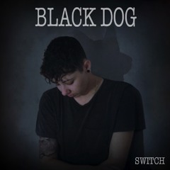 Switch - Black Dog