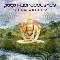 Hypnocoustics & Pogo - Shiva Valley preview (OUT NOW on Nano Records)