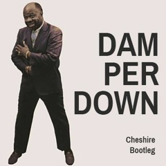 Damper Down - Cheshire Revamp
