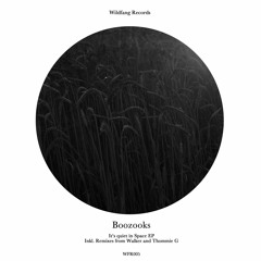 PREMIERE: Boozooks - It's Quiet In Space (Original Mix) [Wildfang Records]