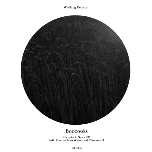 PREMIERE: Boozooks - It's Quiet In Space (Original Mix) [Wildfang Records]