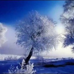 "Winter" Adagio aus den 4 Jahreszeiten von A. Vivaldi