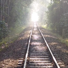 Maharajo  Eki Saaje - Sahana Bajpaie(128kbps)