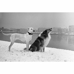 Татьяна Анциферова - Живу надеждой 1982