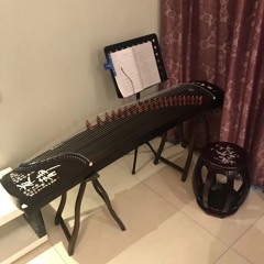 Dror Neeman - GuZheng BeatBox FreeStyle