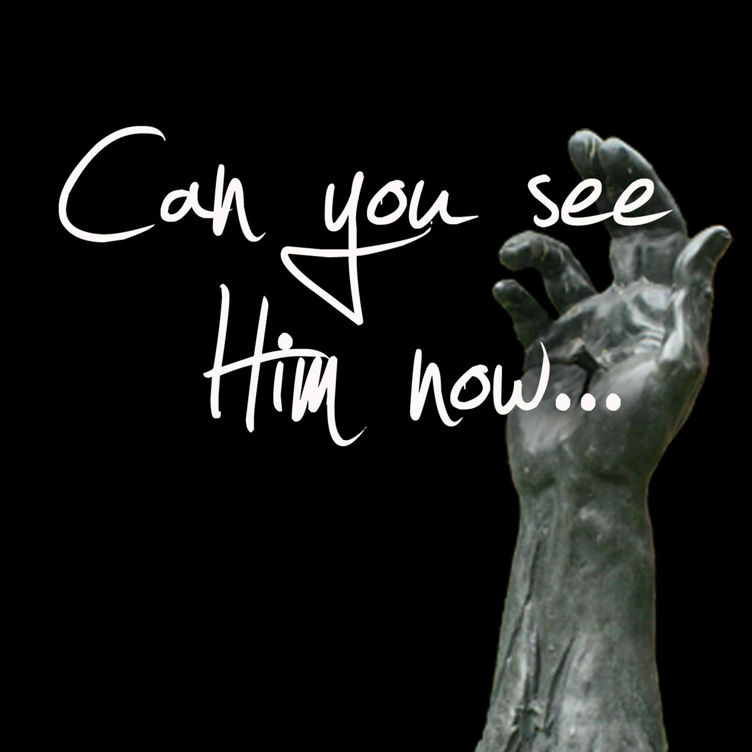 Can You See Him Now 2of4 episode artwork