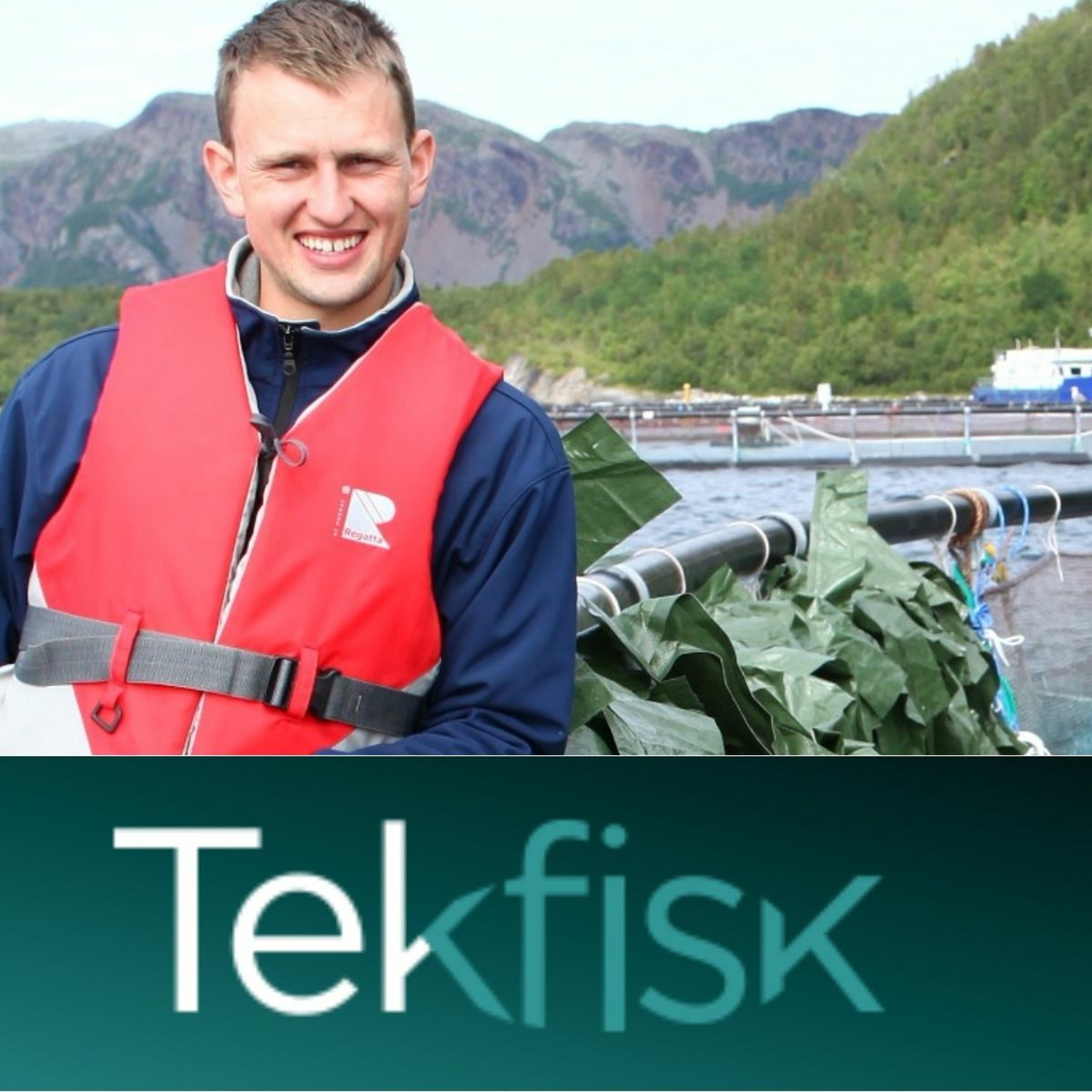 Tekfisk