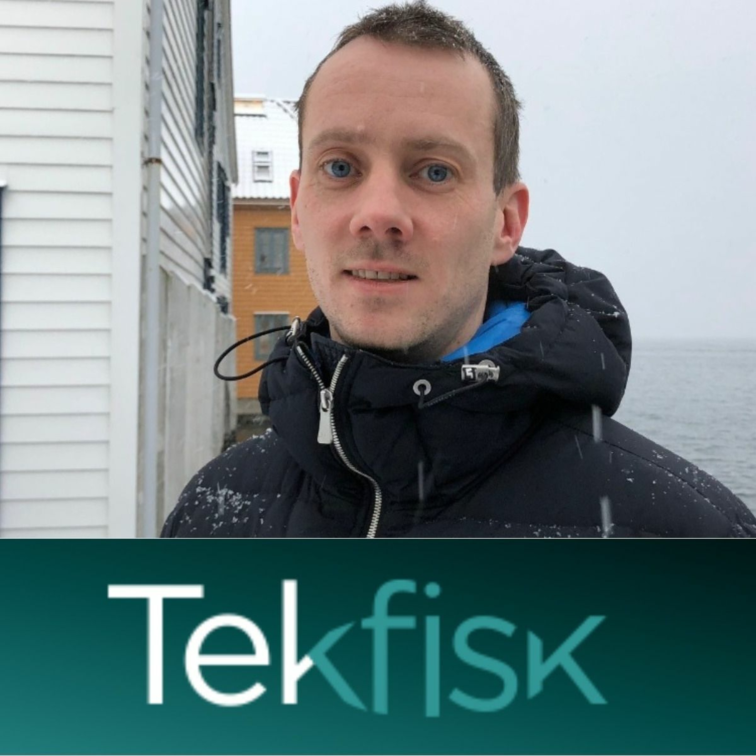 Tekfisk