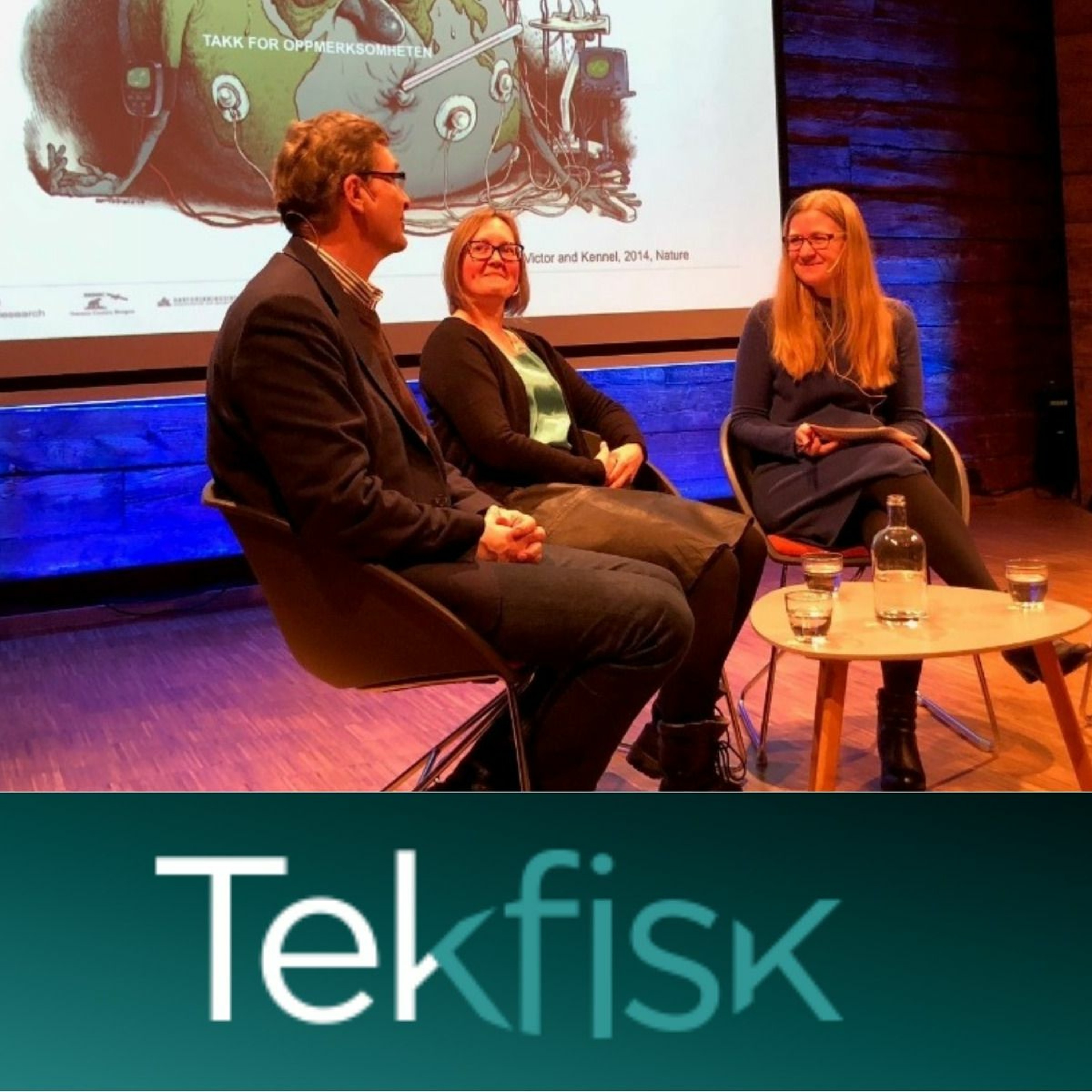 Tekfisk
