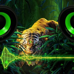Martin Garrix - Animals (The Antisocials Remix) (BassBOOST)