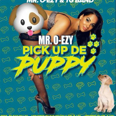 Mr Oezy & TG Band - Pick De Puppy (SXM Soca 2018)