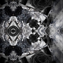 Xx1307 PALACE PRINCESS FREESTYLE