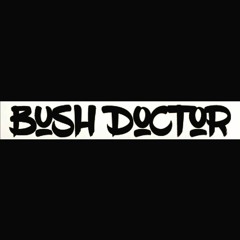BushDoctor - Liar