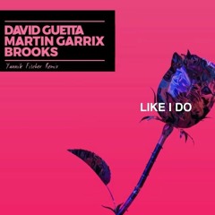 Martin Garrix, David Guetta & Brooks - Like I Do (Yannik Fischer Remix)
