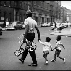 Average American Intro