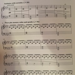 Reflections on a Mirror Lake