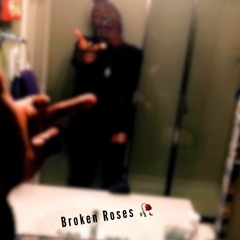 Broken Roses