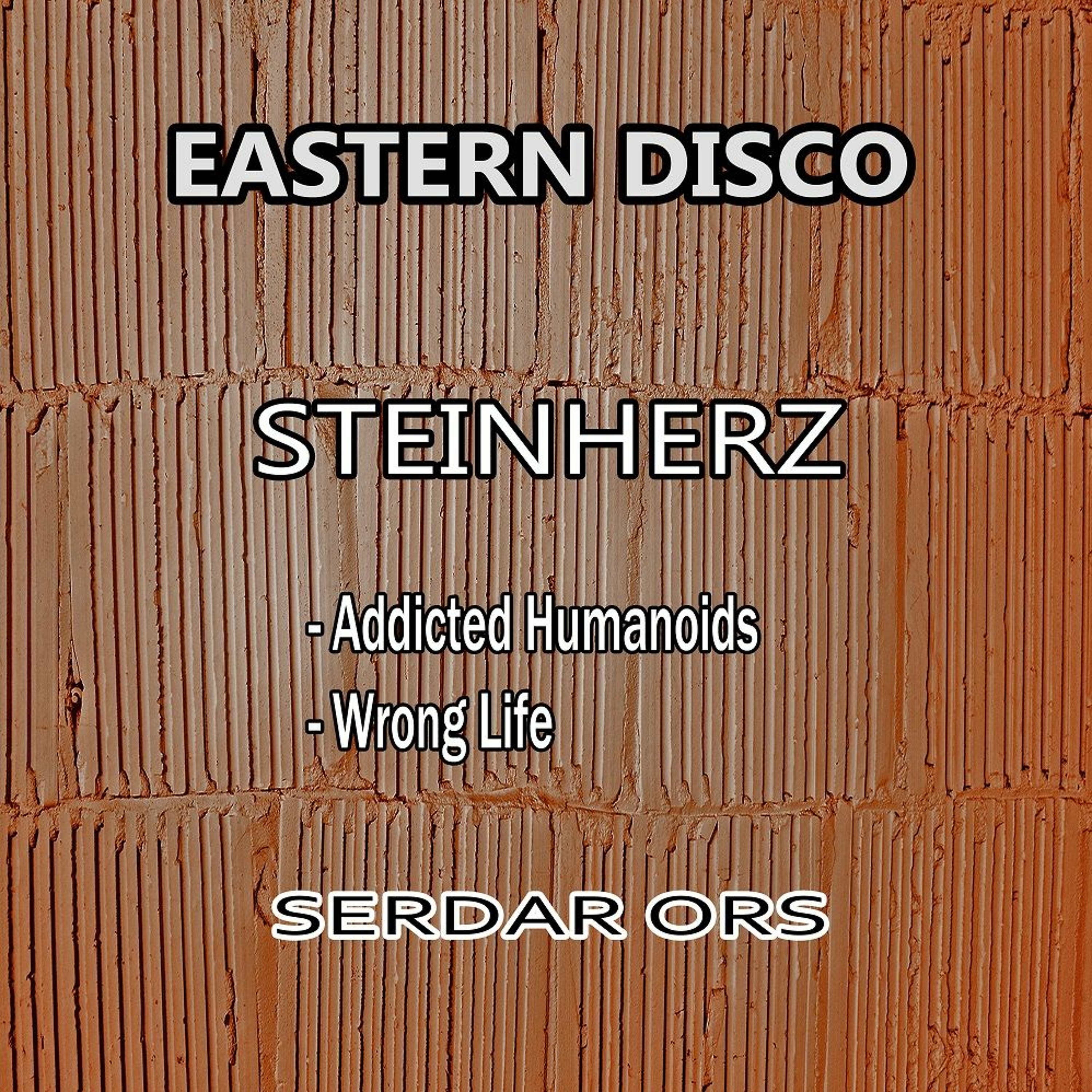 Serdar Ors - Steinherz (Short Cut) episode artwork