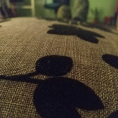 Un actor grabit (acustic cover)