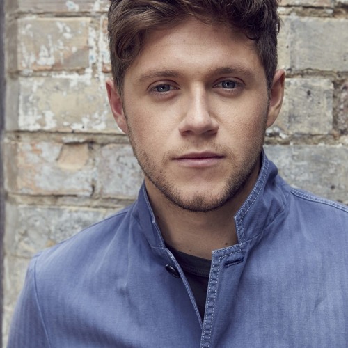 Niall Horan -On The Loose (Audio)