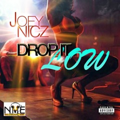 DROP IT LOW - Joey Nicz