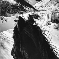 Ani_Chincharauli_-_mgeli_da_dzagli_Mus.Ge_.mp3