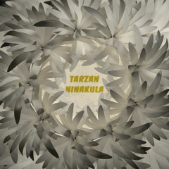 Tarzan - Le Palais