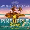 Pineapple Wine Island Remix Feat Fiji And Common Kings Mp3