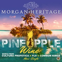 Pineapple Wine (Island Remix) -  Feat. Fiji & Common Kings